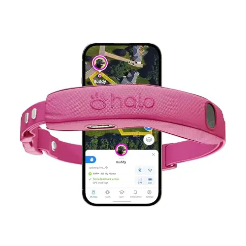 Halo Collar 5 GPS dog fence in orchid color with adjustable nylon strap