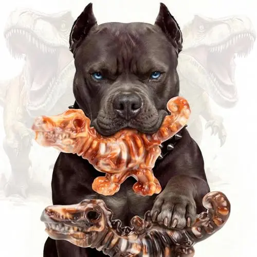 ChienBox two-pack of dinosaur bone-shaped dog chew toys