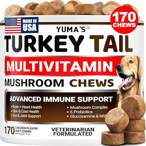 YUMA'S mushroom chews for dogs lipoma and immune support