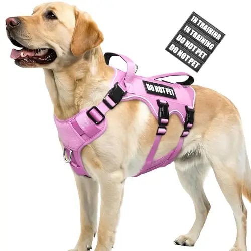 WINSEE pink tactical molle dog harness with patches and handles