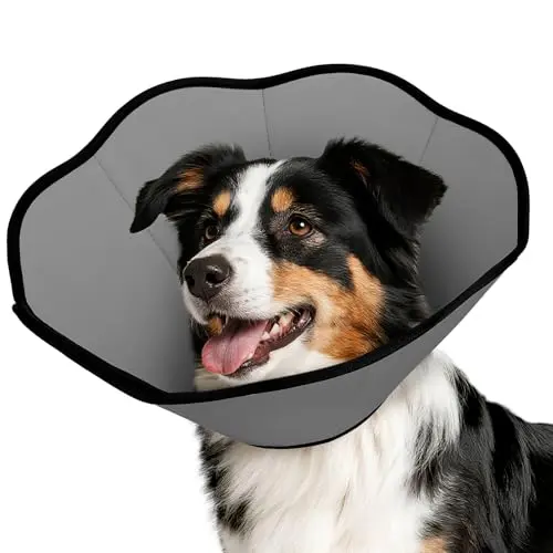 MIDOG grey soft recovery cone collar for dogs