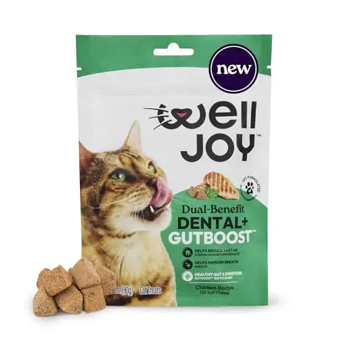 WellJoy Cat Treat Dental+ Soft Chews in a pouch