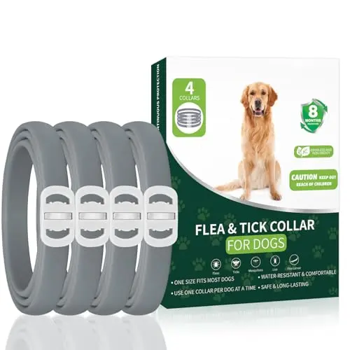 KYGNE flea and tick collar for dogs in a 4-pack with grey color