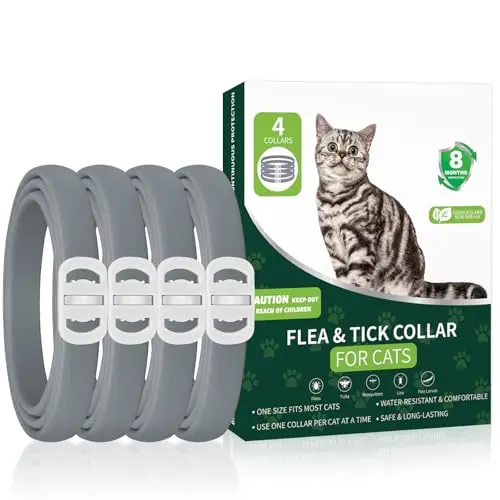 KYGNE 4-pack cat flea collar offering long-term protection