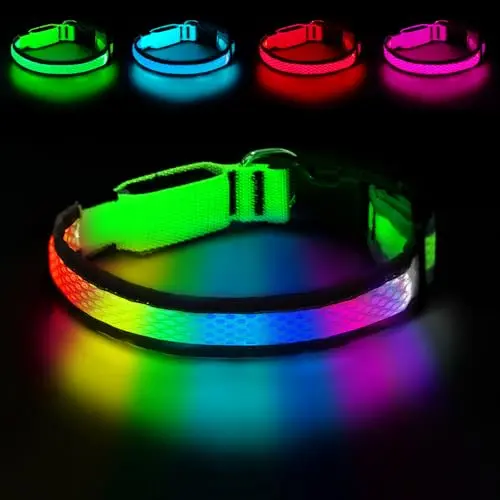 PWOD LED dog collar glowing with multiple colors on a dog's neck