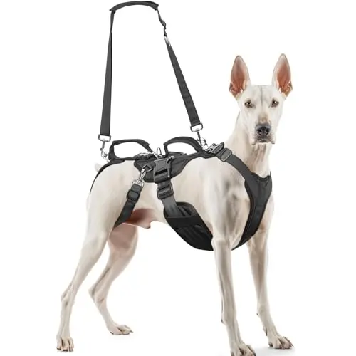 Black all-in-one dog harness for support, walking, and lifting.