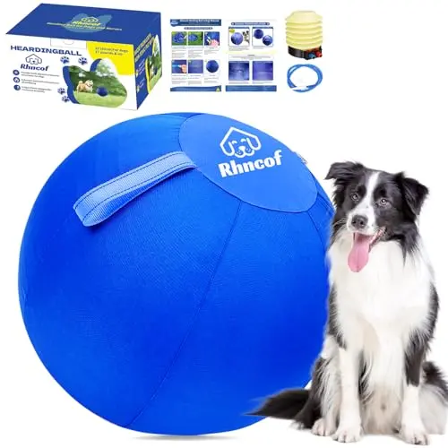 Rhncof herding ball for dogs in blue