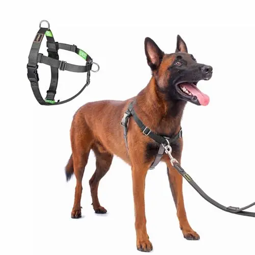 Black no-pull dog harness with clear labels