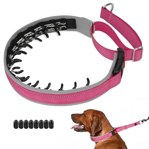 Mayerzon martingale dog collar for pulling in hot pink