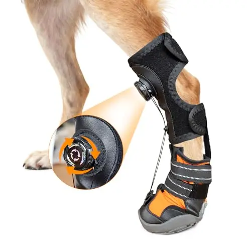 YAQUHO dog brace with adjustable reel and reflective laces