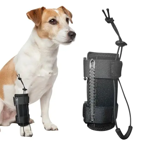 MESINURS dog front leg brace with flexible spring strips