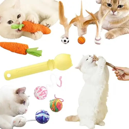 Assorted 10-piece cat toy variety set with chew sticks, balls, and a spoon