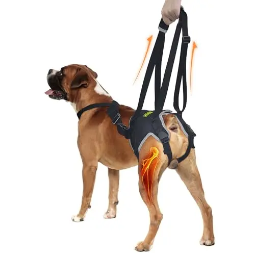 KISFLY dog sling for medium dogs with reflective material in black