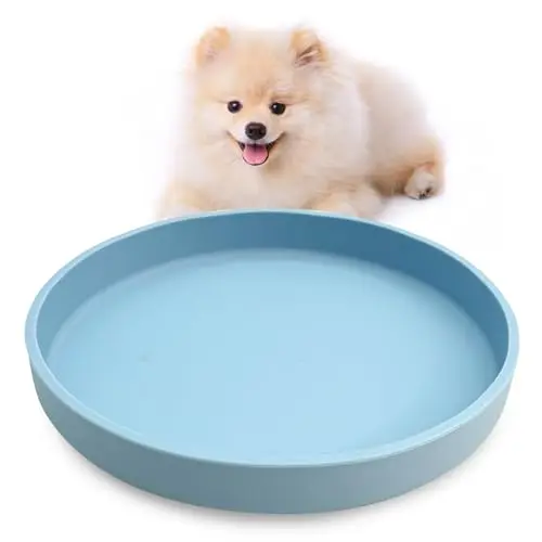 VCEPJH light blue shallow silicone dog plate on a floor