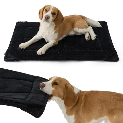 Bedsure chew-resistant dog bed with reinforced corners in black