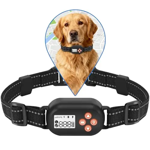 LOTYP GPS dog collar fence in black with adjustable radius