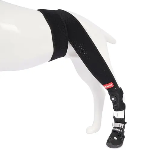 BUVUB dog knuckling brace with dial and waist strap