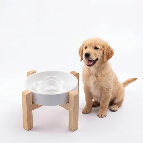 Generic white ceramic slow feeder bowl on a natural bamboo stand