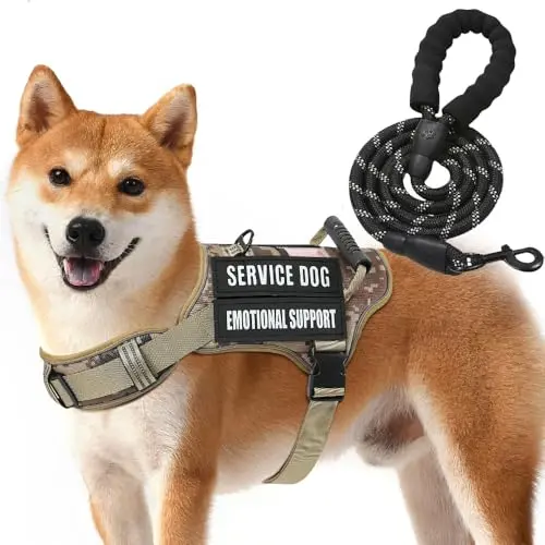 Jane Shine camo dog harness bundled with a matching leash