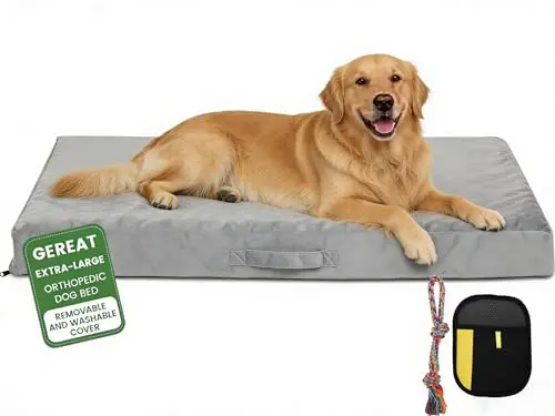 Gereat Orthopedic Dog Bed with 28D foam and accessories for older dogs