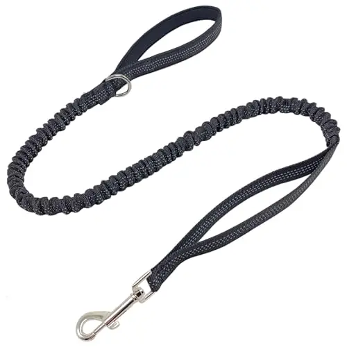 WYuZe bungee dog leash in black with elastic core and reflective webbing
