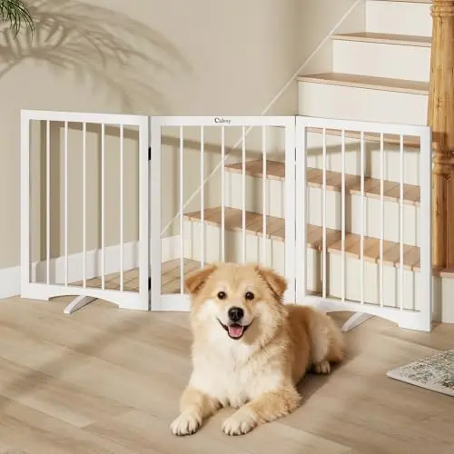 Cideny freestanding metal dog gate in white