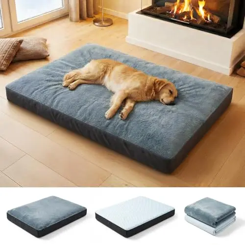 Wagora dog bed with dual removable covers and egg crate foam