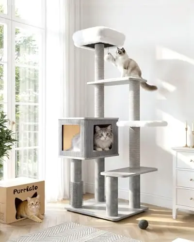 Purrlato 60-inch light grey cat tree with a wooden finish, washable cushions, and sisal-wrapped posts
