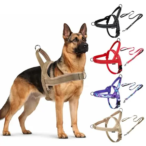 Wuhnesd brown reflective dog harness and leash set