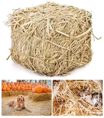 Lengba 8-inch cubic natural straw bale for cat shelter bedding