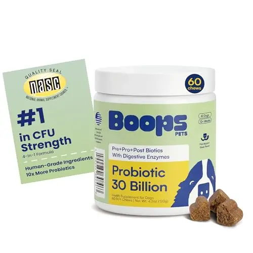 Boops Pets Probiotic chews for dogs with filet mignon flavor