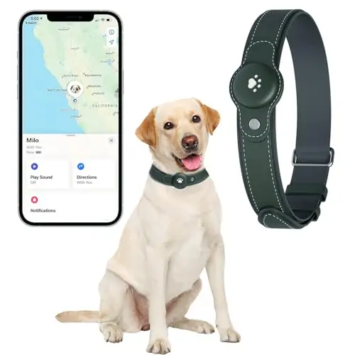 BONSO green GPS dog collar with tracker and buckle closure