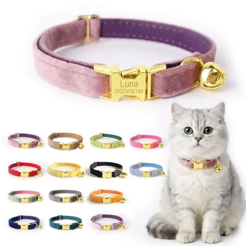 PETS STORM personalized velvet cat collar with engraved name and phone number