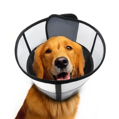 WinWeal transparent soft dog cone collar with double-layer design
