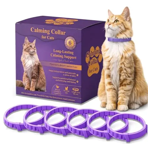 Ghilane purple silicone calming collar for cats with breakaway buckle