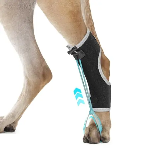 GoGoPaw dog knuckling brace wrap with silicone toe straps