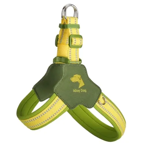 CHEWJOY Y-shaped anti-pull dog harness for Shiba Inu in green color