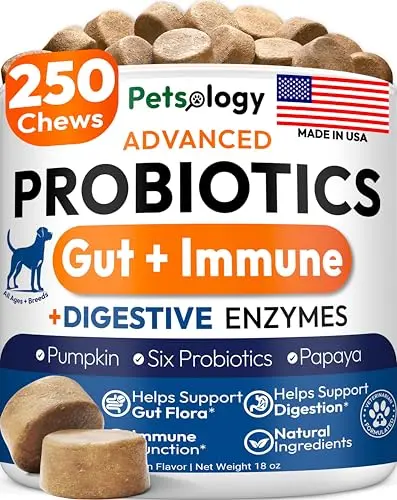 Petsology Probiotics for Dogs 250 chew digestive supplement