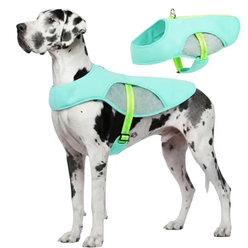 IECOii turquoise 3-layer dog cooling vest for extra-large and giant breed dogs