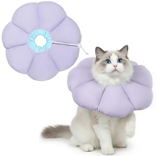 Maiiu purple waterproof soft donut collar for cat recovery