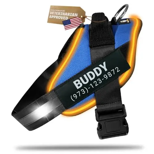 DoggyKingdom Personalized Light Up Dog Harness with LED ring