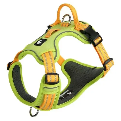 CHEWJOY anti-pull vest-style dog harness for Shiba Inu with handle