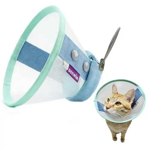 Clorvint blue lightweight mesh recovery e-collar for cats