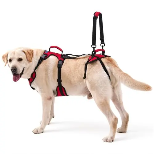 Red full-body dog lift harness with dual handles and breathable fabric.