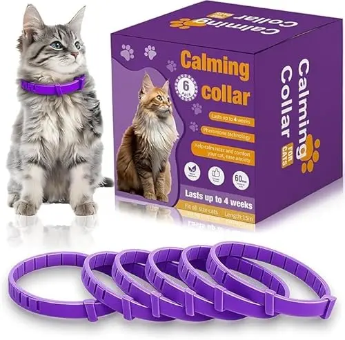 Aurevoen purple calming collar for cats with breakaway buckle