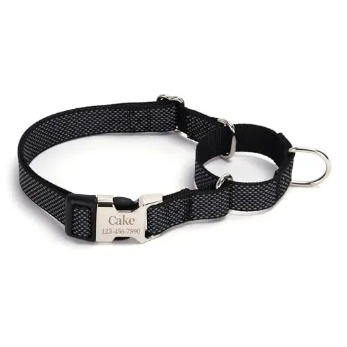 PawTrail personalized martingale dog collar in black with engraved nameplate