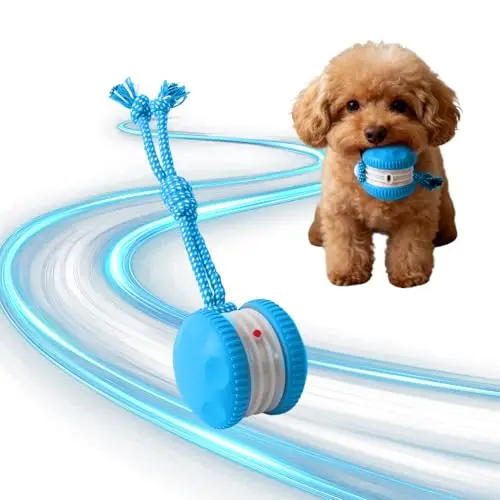 Generic blue interactive rolling dog ball with rope