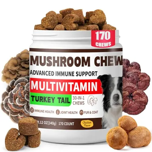 O2AiYus organic turkey tail mushroom chews for dogs immune support
