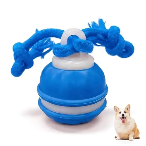 Zealburst Interactive Dog Toy Ball with squeaky sounds for pets