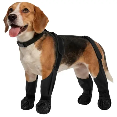 LETSQK one-piece black dog suspender boots